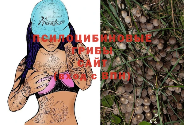 mdpv Шарыпово