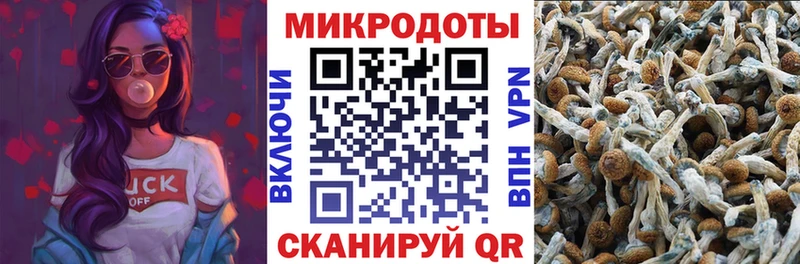 Купить  Строитель  Псилоцибиновые грибы ЛСД 